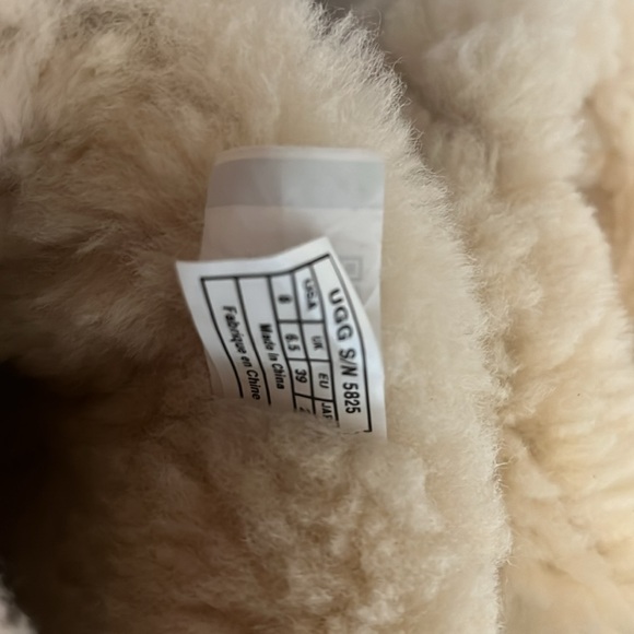 Ugg Classic Short ll - Picture 5 of 7